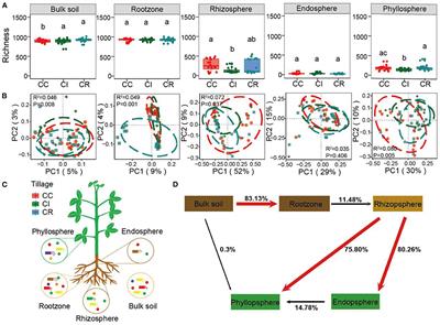 Agricultural Management Drive Bacterial Community Assembly in Different Compartments of Soybean Soil-Plant Continuum